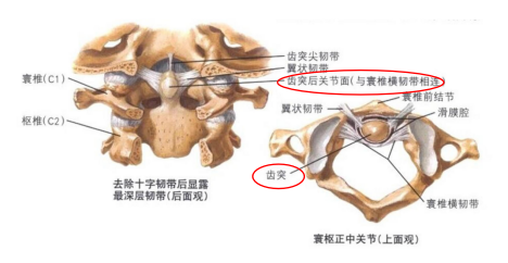 微信图片_20250421143705.png