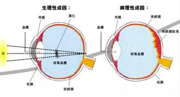 微信图片_2025-08-25_082109_218.jpg